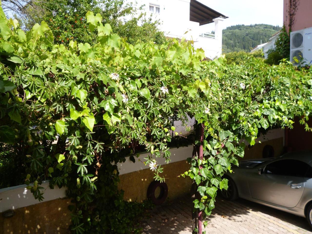 Kostas Studios Agios Georgios Pagon Exterior foto