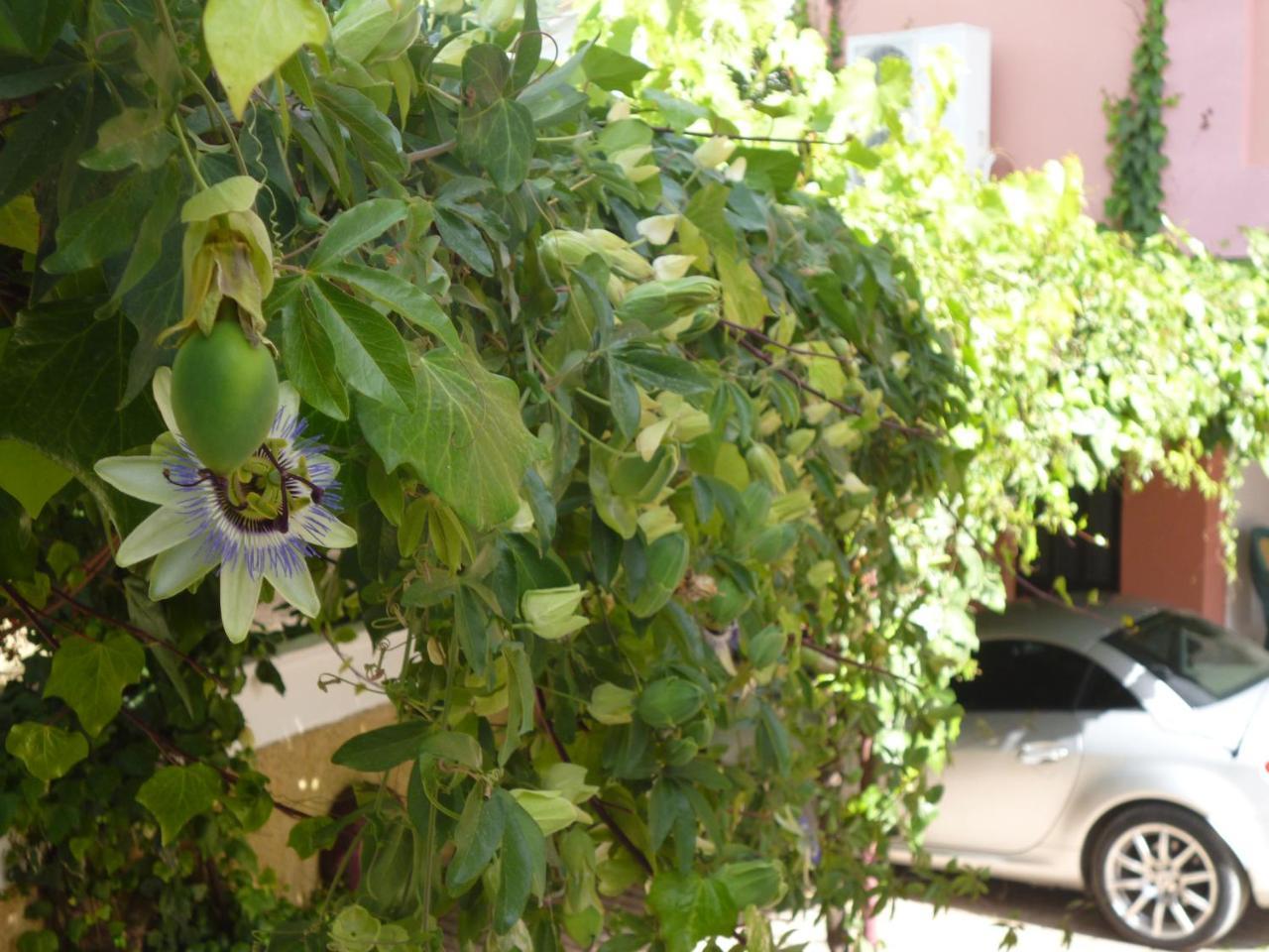 Kostas Studios Agios Georgios Pagon Exterior foto